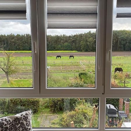 Wunderschoene Ferienwohnung Auf Dem Bauernhof Greven Eksteriør bilde