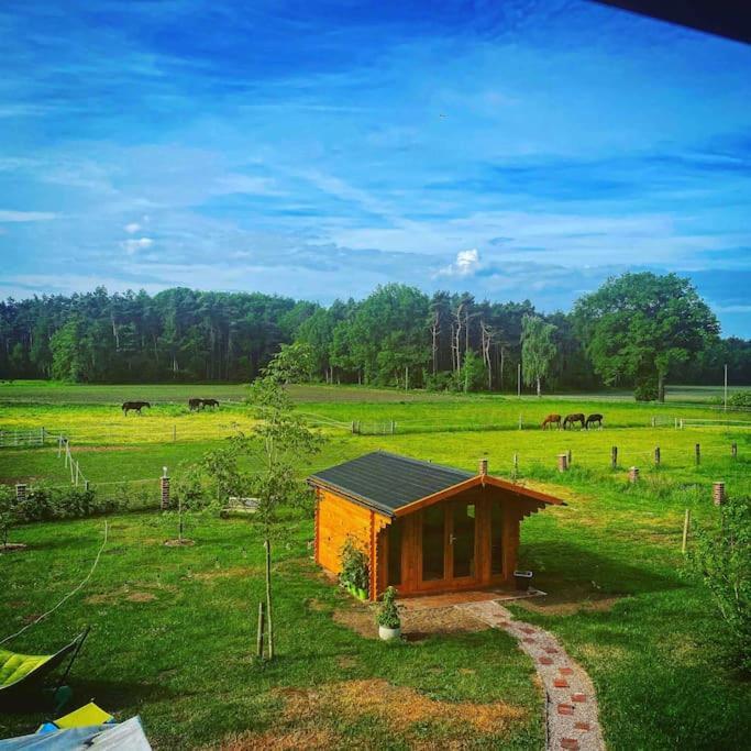 Wunderschoene Ferienwohnung Auf Dem Bauernhof Greven Eksteriør bilde