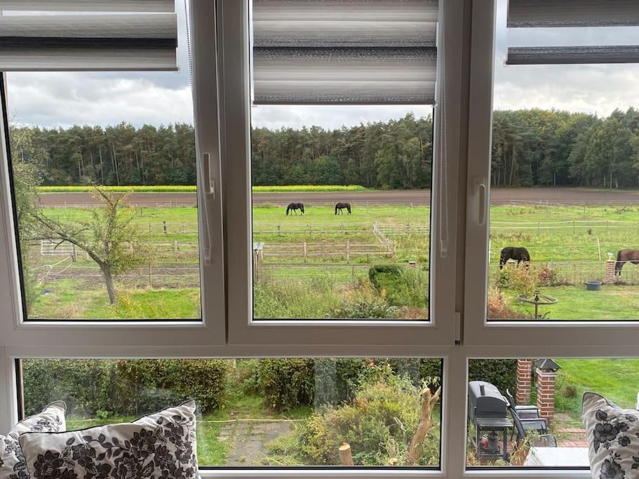 Wunderschoene Ferienwohnung Auf Dem Bauernhof Greven Eksteriør bilde