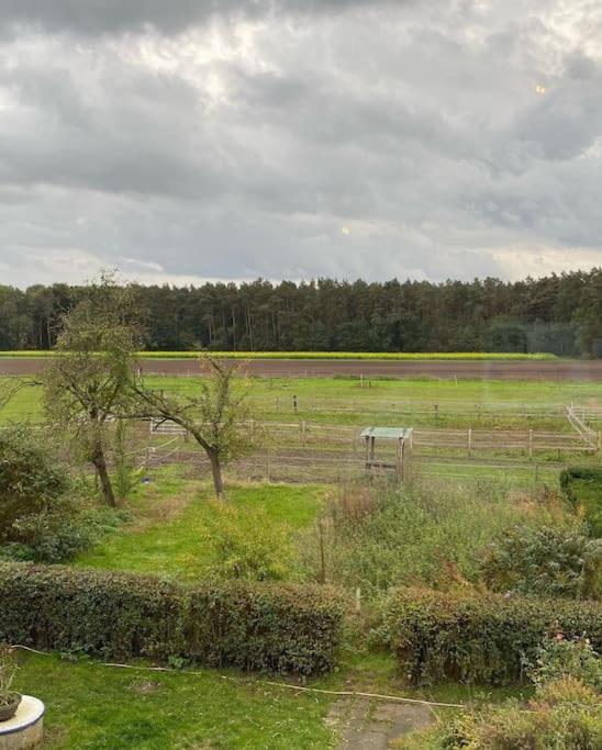 Wunderschoene Ferienwohnung Auf Dem Bauernhof Greven Eksteriør bilde